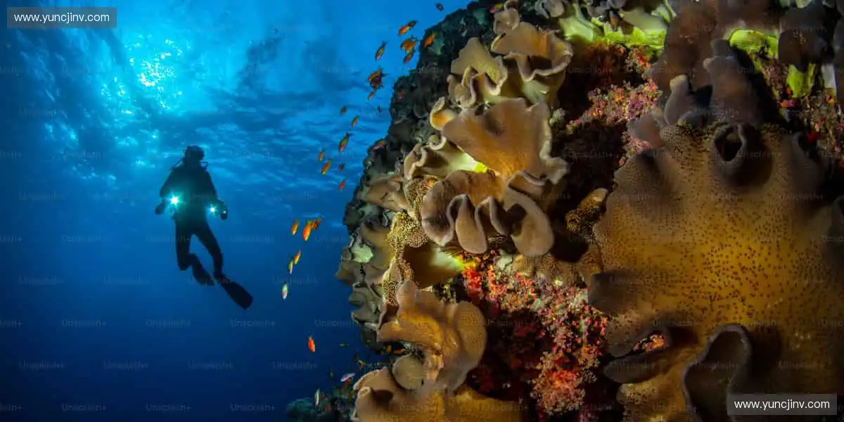 🎮 互动直播，你的主场你做主！